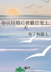 协议结婚后被霸总宠上天 协议结婚后被霸总宠上天