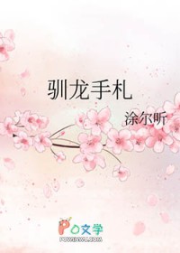 驯龙手札 驯龙手札