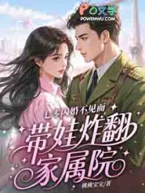 七零闪婚不见面,带娃炸翻家属院