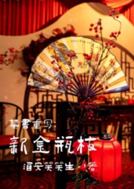 禁书重写:新金瓶梅 禁书重写:新金瓶梅