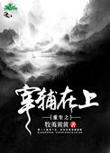 重生之宰辅在上 重生之宰辅在上