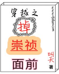 穿越之掉崇祯面前 穿越之掉崇祯面前