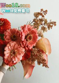 春去秋來 春去秋來