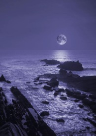 暗夜(NP gl,bg) 暗夜(NP gl,bg)